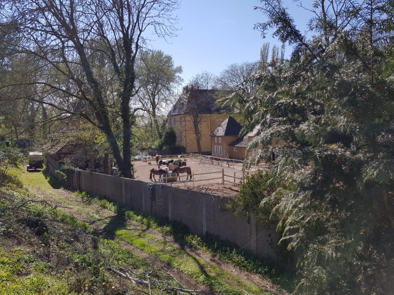 Paddock von der Straße aus