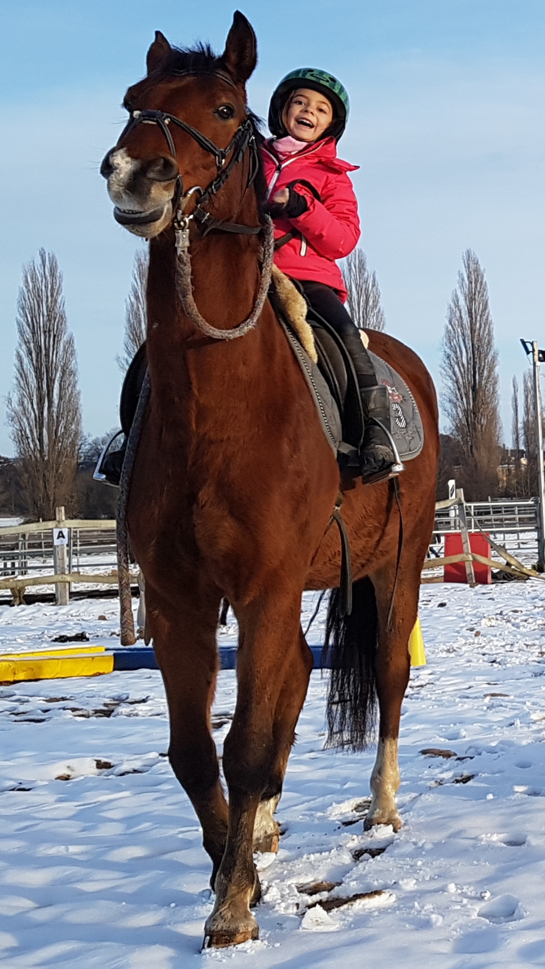 Kind auf Reitpony Pheobe im Schnee