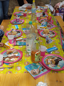 Kindergeburtstag 'Eiskönigin'