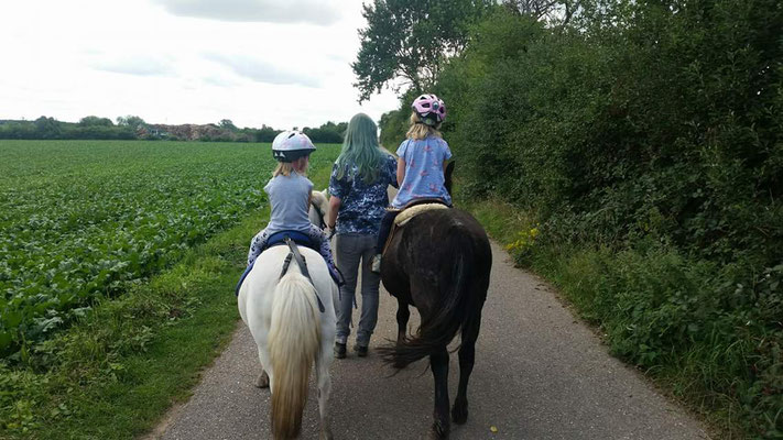 Zwei Ponys beim Ausritt