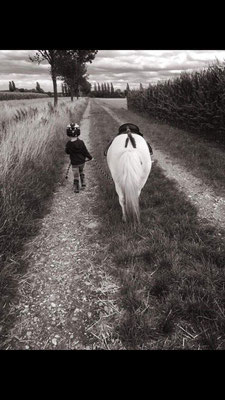Geführtes Pony S-W