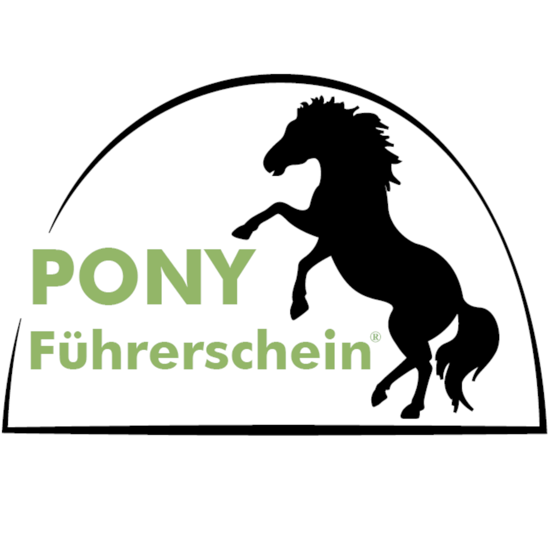 Pony-Führerschein®